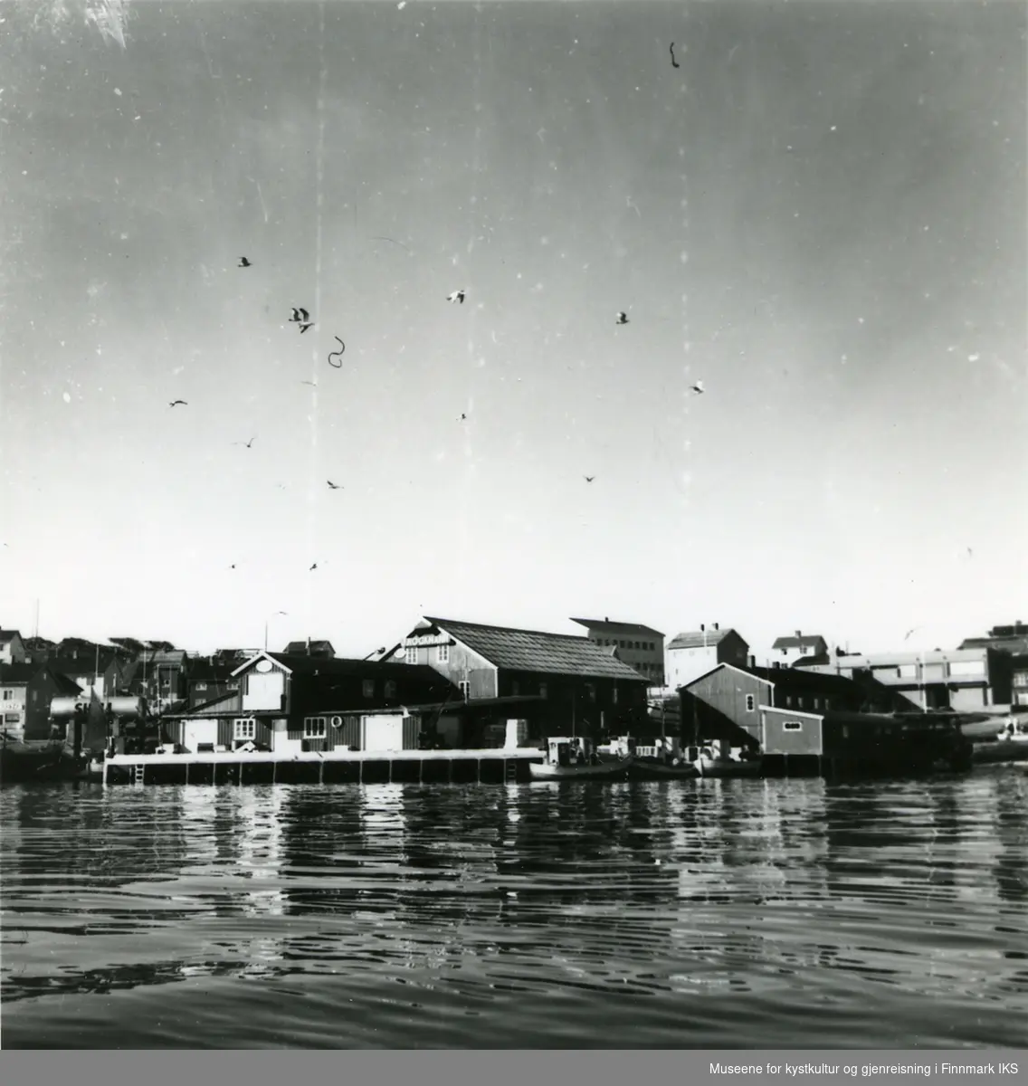 Rockmanns fiskebruk i Mehamn ca 1962