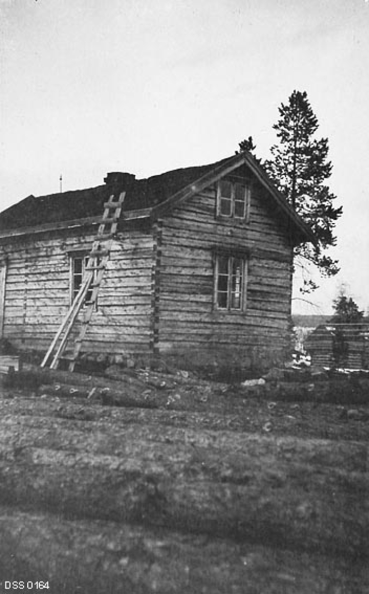 Våningshuset på Skogly i Pasvikdalen (Sør-Varanger i Finnmark), fotografert i 1913.  Bildet viser ei forholdsvis smal stue på en bakkekam mot et vassdrag.  Den var oppført i sinklaftteknikk uten ytterkledning og hadde seinempirevinduer.  Bygningen hadde «kjøkkenstue» og kammers i underetasjen, samt to kvistværelser som i hvert fall kunne brukes sommerstid.  I bakgrunnen til høyre skimter vi et stabbur som øyensynlig ikke var helt ferdigbygd.

Funksjonærboligene Skogly og Nesheim ble bygd ved Vagatem i Pasvikdalen i 1902-03.  Dette ble gjort som et spleiselag mellom «Skogvæsenet» (den statlige skogetaten) og «Justisvæsenet», fordi funksjonærene som skulle bo der både skulle være skogvoktere og grensepoliti.  I første omgang ble det bygd våningshus og uthus - fjøs, stall og høyløe - med sikte på at beboerne skulle ha et husdyrhold som gjorde dem sjølforsynte med kjøtt, mjølk og transporttjenester.  Oppdyrkinga gikk det langsomt med i starten, for jordvegen besto i stor utstrekning av mosemyr.  I 1909 brant Nesheim.  På grunn av dårlig jordveg ble denne skogvokterboligen gjenoppført på et annet sted i løpet av de følgende par åra.  Samtidig bygde Øst-Finnmark skogforvaltning også en skogvoktergard på et sted som ble kalt Skogfoss eller Mennika i Pasvikdalen.  I 1913 ble det bevilget penger til utvidelse og modernisering av bebyggelsen på Skogly.  Dette fotografiet er antakelig tatt i forkant av dette byggeprosjektet.