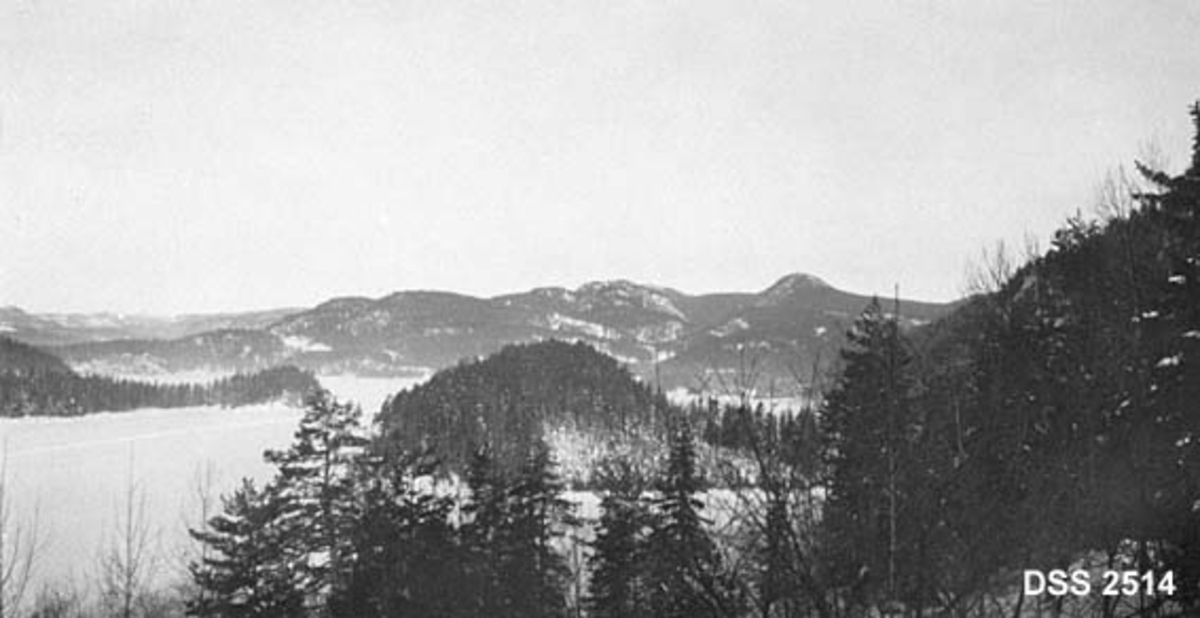 Utsikt fra Kiste jaktslott i Treschow-Fritzøes skoger mot Slemdal i Brunlanes.  Vintermotiv med is- og snødekt innsjø, kupert terreng med nåleskog, lauvkratt og furu i forgrunnen. 