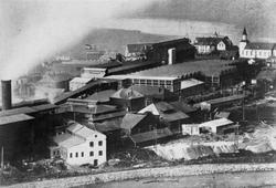 Oversiktsbilete, North Western Cynamide Company Limited, Alb