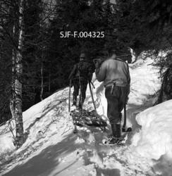 "Hankekjøring på Lillerud i Vestre Gausdal. K. Kronberget og