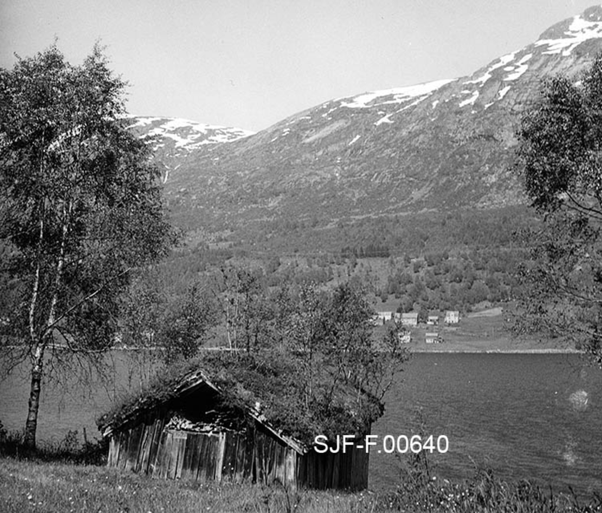 Naustet til Nikolai J. Gjesdal (1889-1973) på Vassenden i Jølster i Sunnfjord i Sogn og Fjordane.  Fotografiet er tatt fra oversida av bygningen, med Jølstervatnet (Jølstravatnet) i bakgrunnen.  Naustet er en umalt, bordkledd stavkonstruksjon med torvtekt sperretak.  Gavlveggen som vender mot fotografen er bordkledd opp til beiten, men åpen i røstet.  Gjennom denne åpningen skimter vi materialer som ble lagret her, både skrårne bjelker og rundvirke i hersestaurformat.  På taket vokste det en god del lauvtrær da fotografiet ble tatt, noe som vel tyder på at det var ei stund siden taket ble lagt om da dette fotografiet ble tatt i 1967.  I bakgrunnen, på motsatt side av Jølstervatnet skimtes fjell (Gravsfjellet [851 m. o. h. ] og Tindefjellet [1083 m. o. h. ]) med snøstriper på toppen, til tross for at fotografiet åpenbart er tatt i sommersesongen. 

Jølsternaustet er 790 centimeter langt og 456 centimeter bredt og har følgelig ei grunnflate på 36 kvadratmeter.  På gavlen mot vassdraget er rafthøyden 217 og mønehøyden 365 centimeter.  På den bakre eller vestre gavlen er rafthøyden 125 og mønehøyden 258 centimeter. 