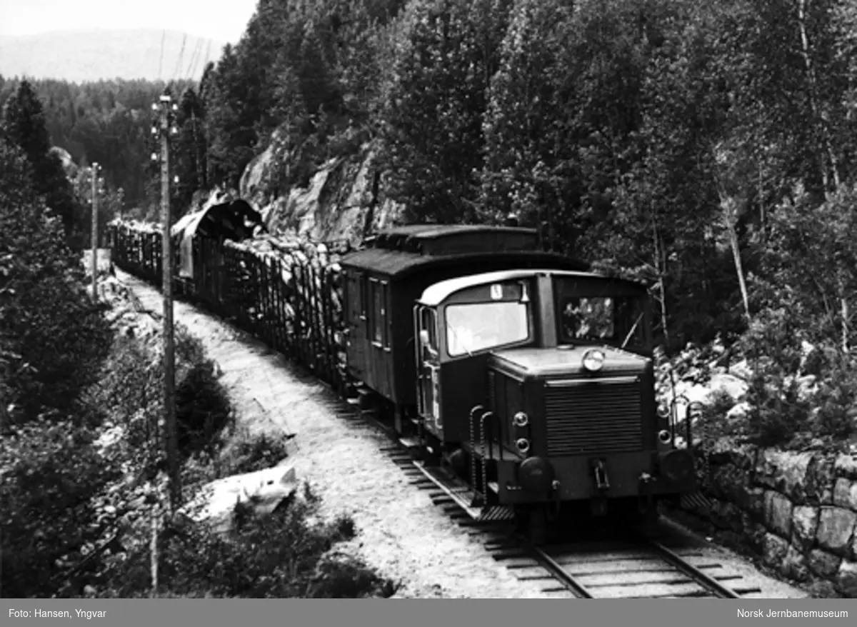 Skiftetraktor type Skd 220c med godstog mellom Laugi og Tråen
