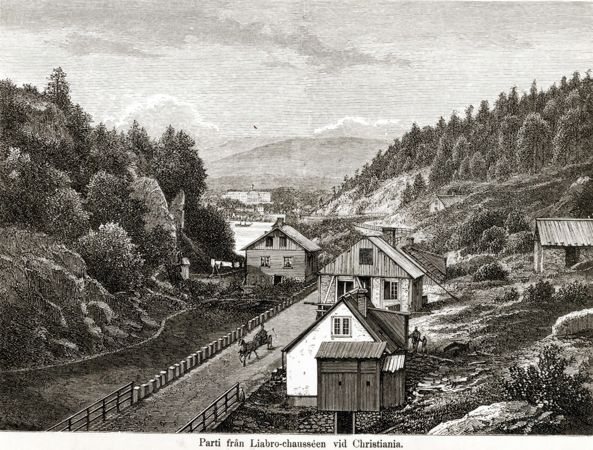 Trykk fra Ljabru, Oslo. Antatt fra Nordiske billeder, København, 1867. Landskap med hus, vei og hestekjøretøy.