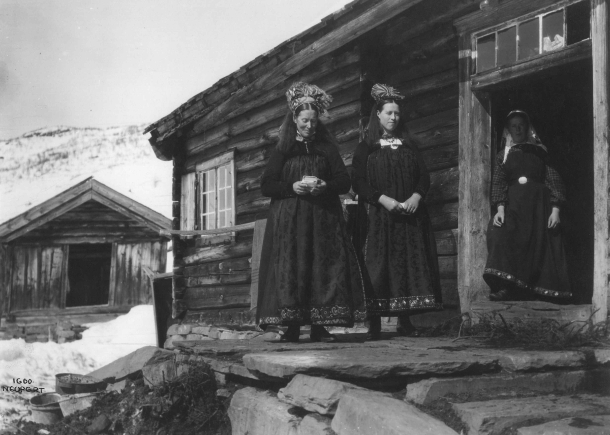 Kvinnedrakter fra Leveld, Ål 1919-1920.  Vinterbilde. Kvinner foran tømmerstue.